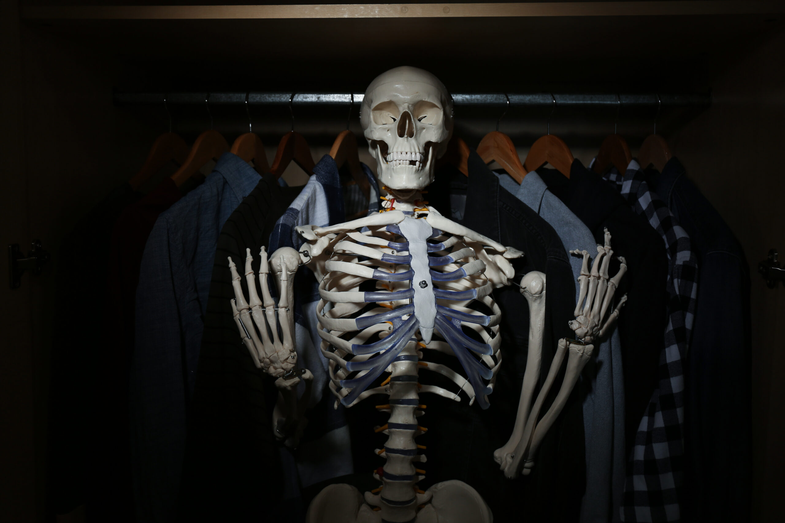 Скелеты в шкафу 2024